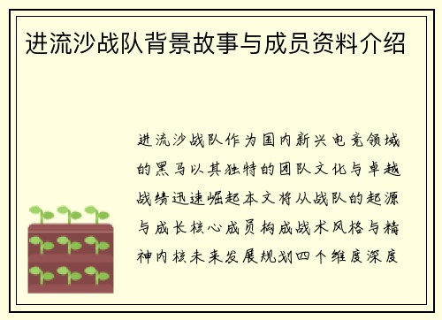 进流沙战队背景故事与成员资料介绍